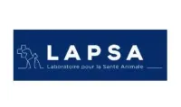 lapsa